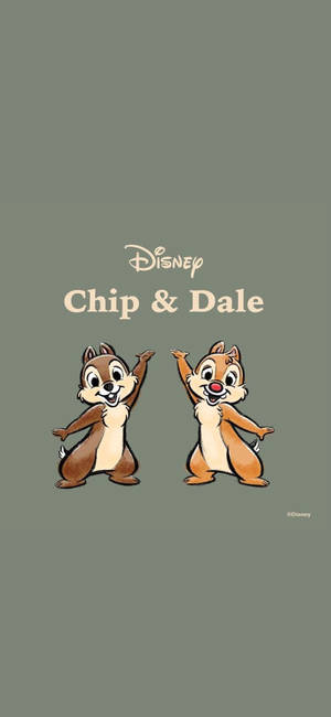 Wallpaper ng Chip N Dale sa Gray na Background — iPhone 11 Pro Max Wallpaper