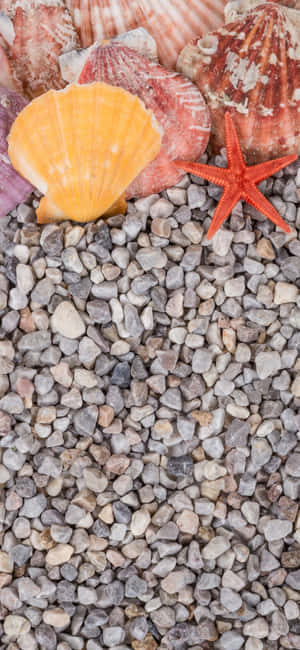 Iphone X Summer Background — iPhone 16e Wallpaper