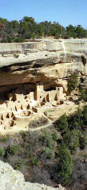 Cliff Palace Tan Color Mesa Verde National Park — iPhone 17e Wallpaper