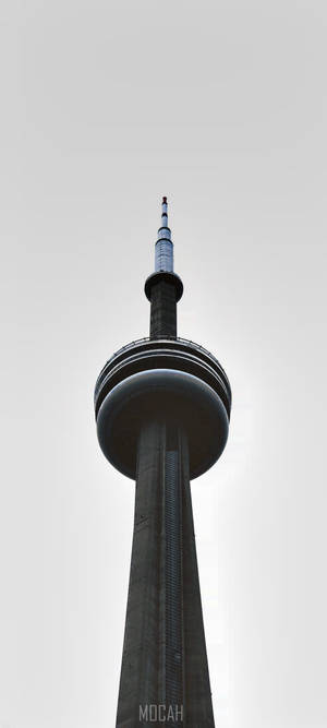 Tanawin mula sa Skypod ng CN Tower — Pixel 10 Wallpaper