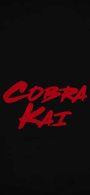 Cobra Kai Iphone Xr Background — iPhone 11 Pro Max Wallpaper