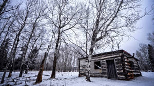 Malamig na winter forest log house wallpaper