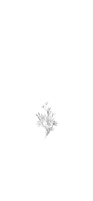 Mga larawan ng Art Drawing — iPhone 14 Pro Max Wallpaper