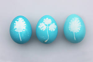 Tatlo na asul o teal na Easter eggs na may puting dahon painting, Easter wallpaper — 3:2 Wallpaper
