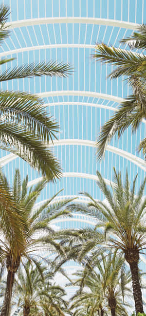 Contemporary Architecture Palm Trees — iPhone 18 Wallpaper