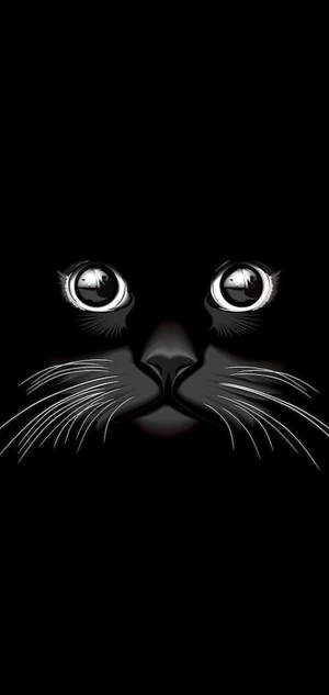 Cool Black Cat — Samsung S23 Wallpaper