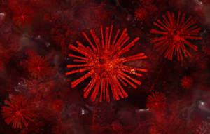 Wallpaper ng Modelo ng Coronavirus na Paputok na Shred — Steam Deck OLED Wallpaper