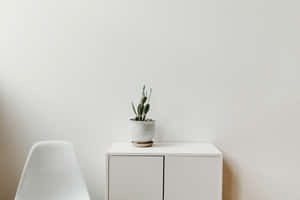 Mockup background — MacBook Air M3 Wallpaper