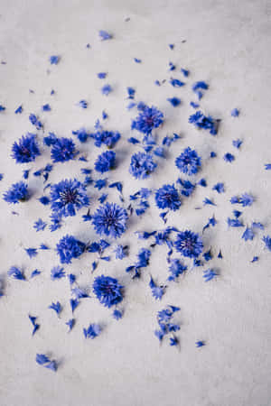 Crushed Petals Of Blue Flowers Phone — Huawei MatePad 11.5 (2026) Wallpaper