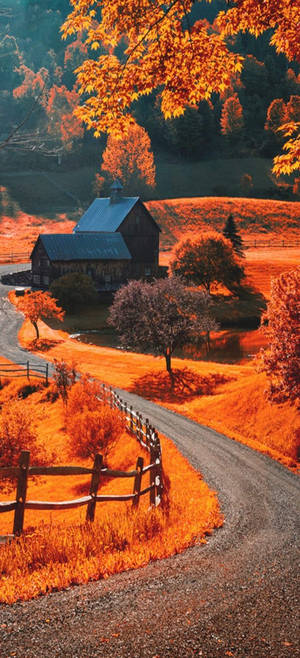 Cute Fall Phone — Honor Play 80 Pro Wallpaper