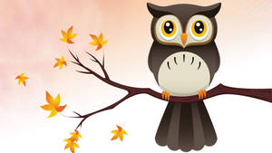 Cute Owl Sa Puno wallpaper
