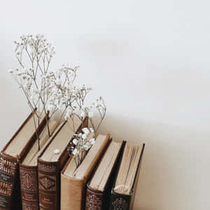 Light Brown Aesthetic — Light brown aesthetic Wallpaper