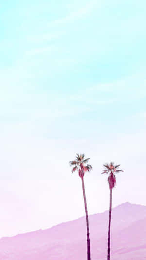 Minimalist Aesthetic background — Minimalist aesthetic Wallpaper