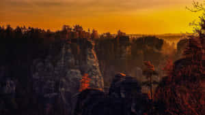 Gandang Background ng Kalikasan
