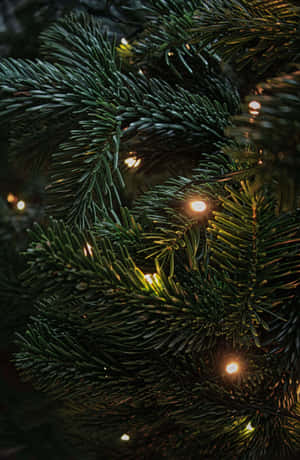 Madilim na Eksena ng Pasko — Honor MagicPad4 Wallpaper