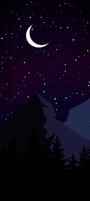 Madilim na gabi vector art wallpaper — Pixel 9 Wallpaper