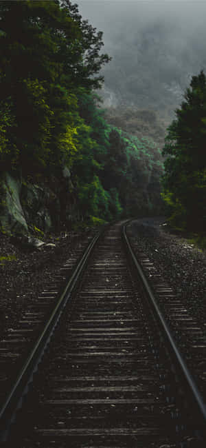Outside Background — Motorola Edge 70 Fusion Wallpaper