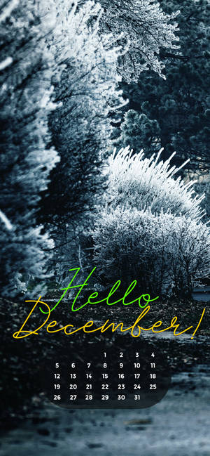 December 2021 White Christmas wallpaper. — S24 Ultra Wallpaper