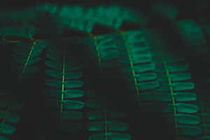 Madilim na Berdeng Aesthetic pictures — MacBook Air 13 Wallpaper