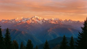 Marilag na paglubog ng araw sa mga bundok na nababalutan ng niyebe na may alpenglow at mga puno ng pino.