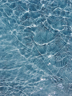 Isang Tahimik na Umuunlan na Lawa ng Tubig na Wallpaper