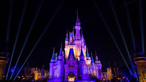 Disneyworld sa Gabi
