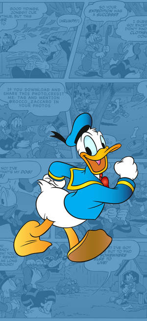 Donald Duck comic illustration wallpaper