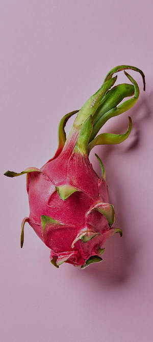 Dragonfruit Fruit Photography Pastel Pink Background — iPhone Xr Wallpaper