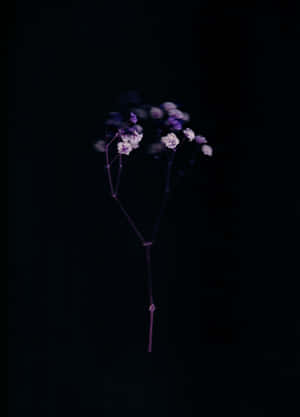 Aesthetic Black Background — Vivo Pad5 Wallpaper