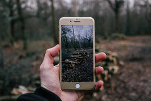 tao na kumukuha ng larawan ng mga panggatong gamit ang iPhone