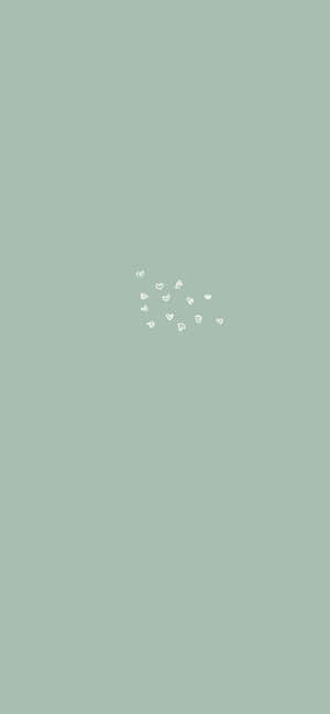 Sage Green Aesthetic pictures — OnePlus 13 Wallpaper