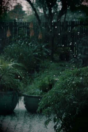 Enkanteng Dark Green Aesthetic Background — Huawei MatePad 11.5 (2026) Wallpaper