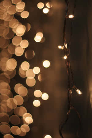 Enkantadong Spring Lights na Nag-iiluminate ng Forest Path — iPad Mini Wallpaper