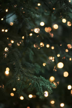 Enkantadong Spring Lights — Huawei Pura X Max Wallpaper