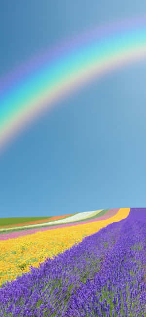 Pixel 3 Spring Background — iPhone 14 Pro Max Wallpaper