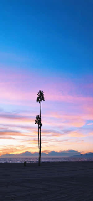 Iphone X California Background — OnePlus Wallpaper