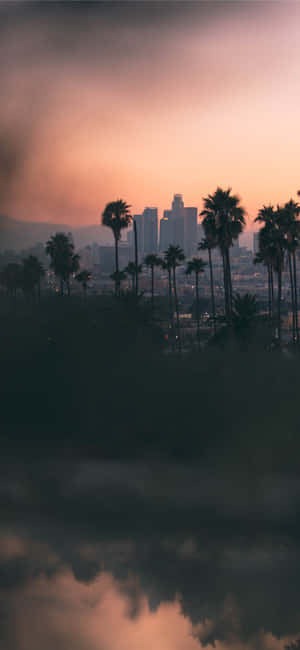 Iphone X California Background — Pixel 8 Wallpaper