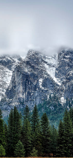 Yosemite Iphone — Pixel 8a Wallpaper