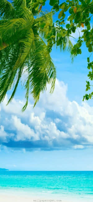 Iphone Xs Dalampasigan Background — Galaxy S25 Wallpaper