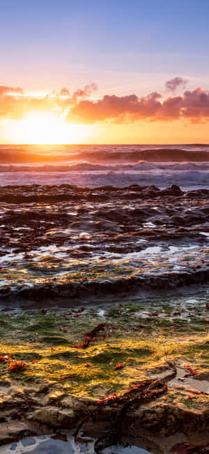 Iphone X California Background — iPhone 16 Wallpaper