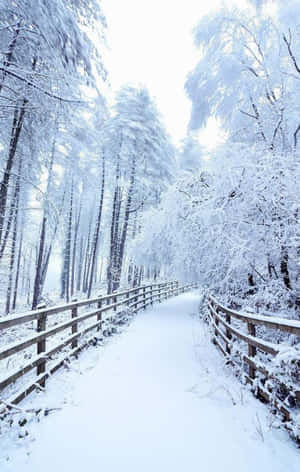 Snow Iphone — Infinix Xpad 20 Wallpaper