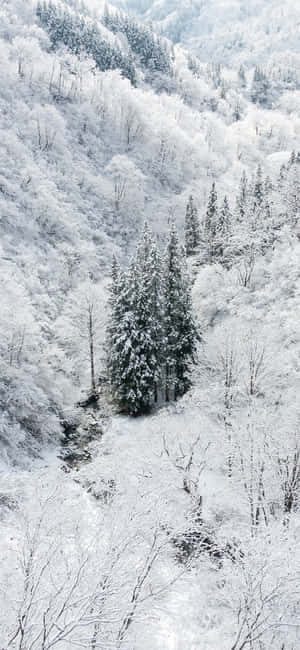 Snow Iphone — Xiaomi 14 Ultra Wallpaper