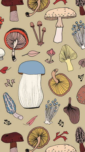 Estetikang Kabute na Makalupa — Mushroom Aesthetic Wallpaper