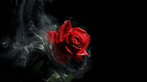 Estetikang Usok na Rosas na Gotiko
