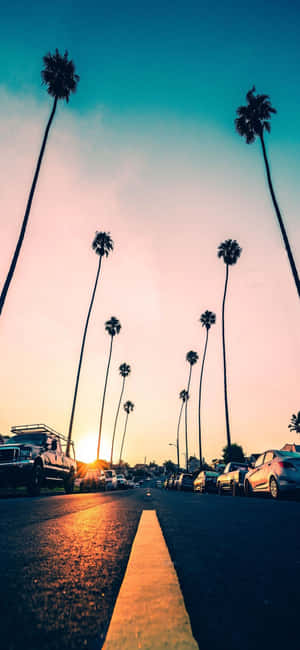 Iphone X California Background — iPhone 18 Pro Wallpaper