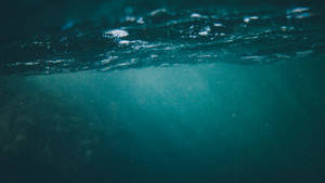 Under the water photography wallpaper — Pro Display XDR Wallpaper