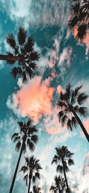 Iphone X California Background — iPhone Xs Wallpaper