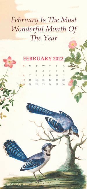February 2022 Calendar na may Blue Birds wallpaper — iPhone 18 Pro Max Wallpaper