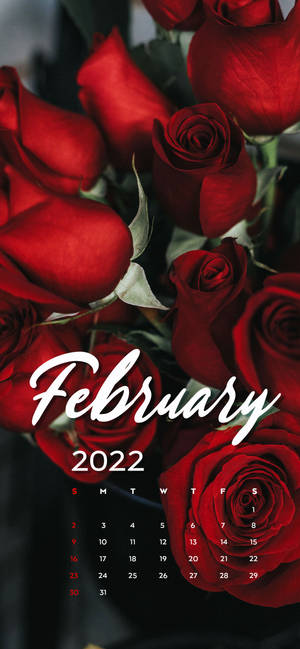 February 2022 Red Roses Calendar wallpaper — iPhone 16e Wallpaper