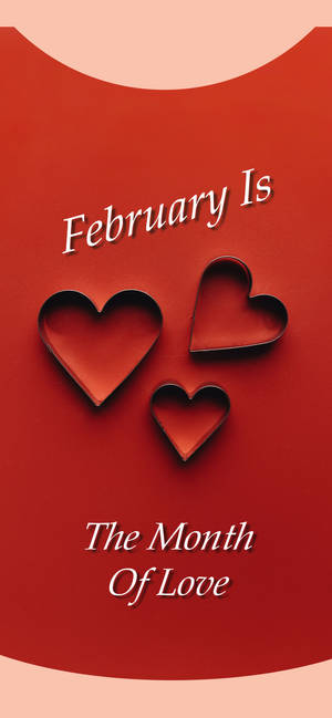February Is The Month Of Love Quote wallpaper — Pixel 8 Wallpaper